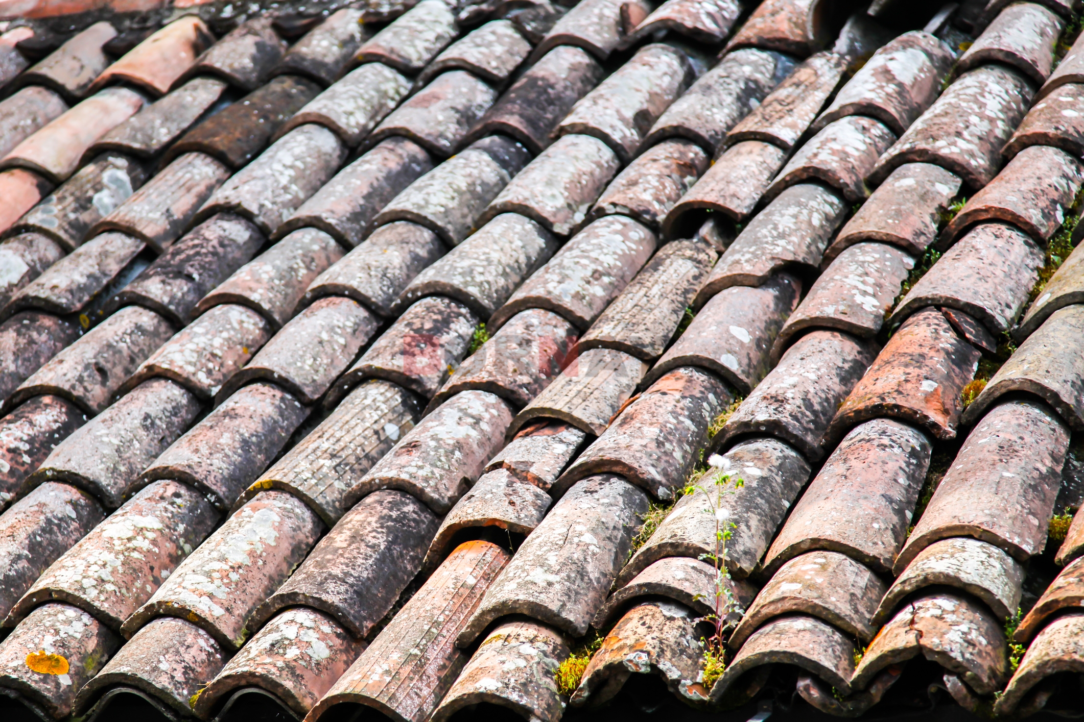 WhatFrom Traditional Building Materials to Modern Innovation: The History of FRP Roof Panels